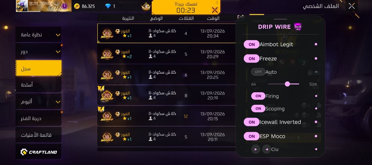 In-game proof 4